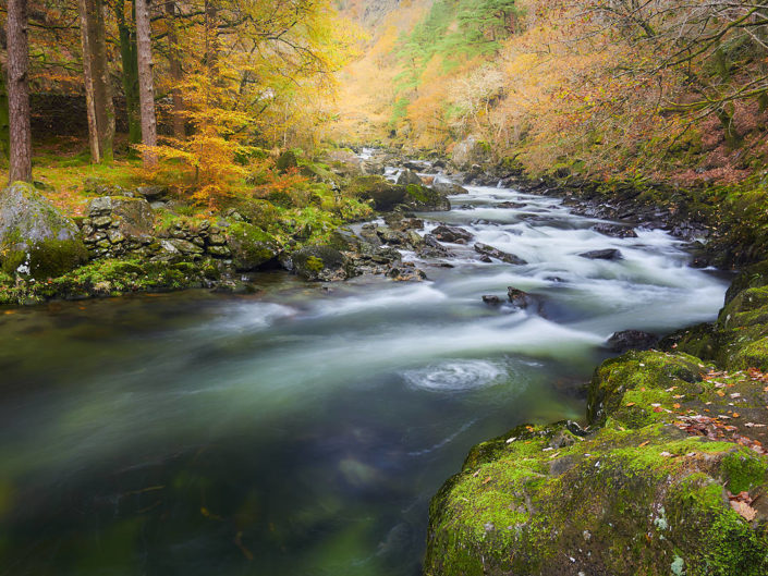 Fluss im Herbstwald